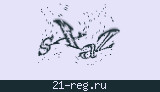 Защитный код