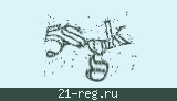 Защитный код