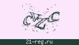 Защитный код