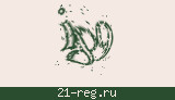 Защитный код