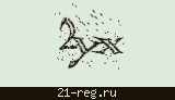 Защитный код