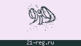 Защитный код