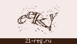 Защитный код
