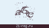 Защитный код