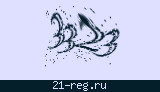 Защитный код